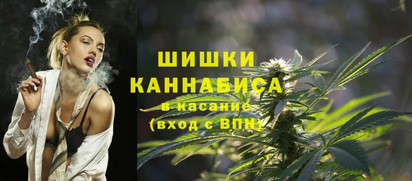 прущие крисы Вяземский