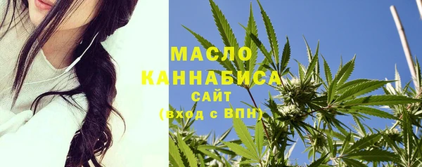 прущие грибы Горно-Алтайск