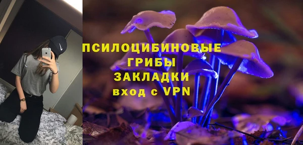 прущие крисы Вяземский